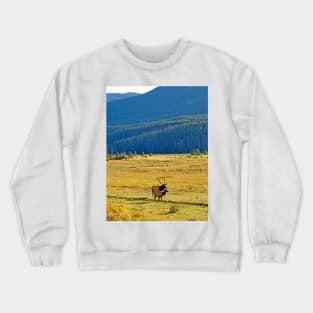 RMNP Plains in Autumn Crewneck Sweatshirt